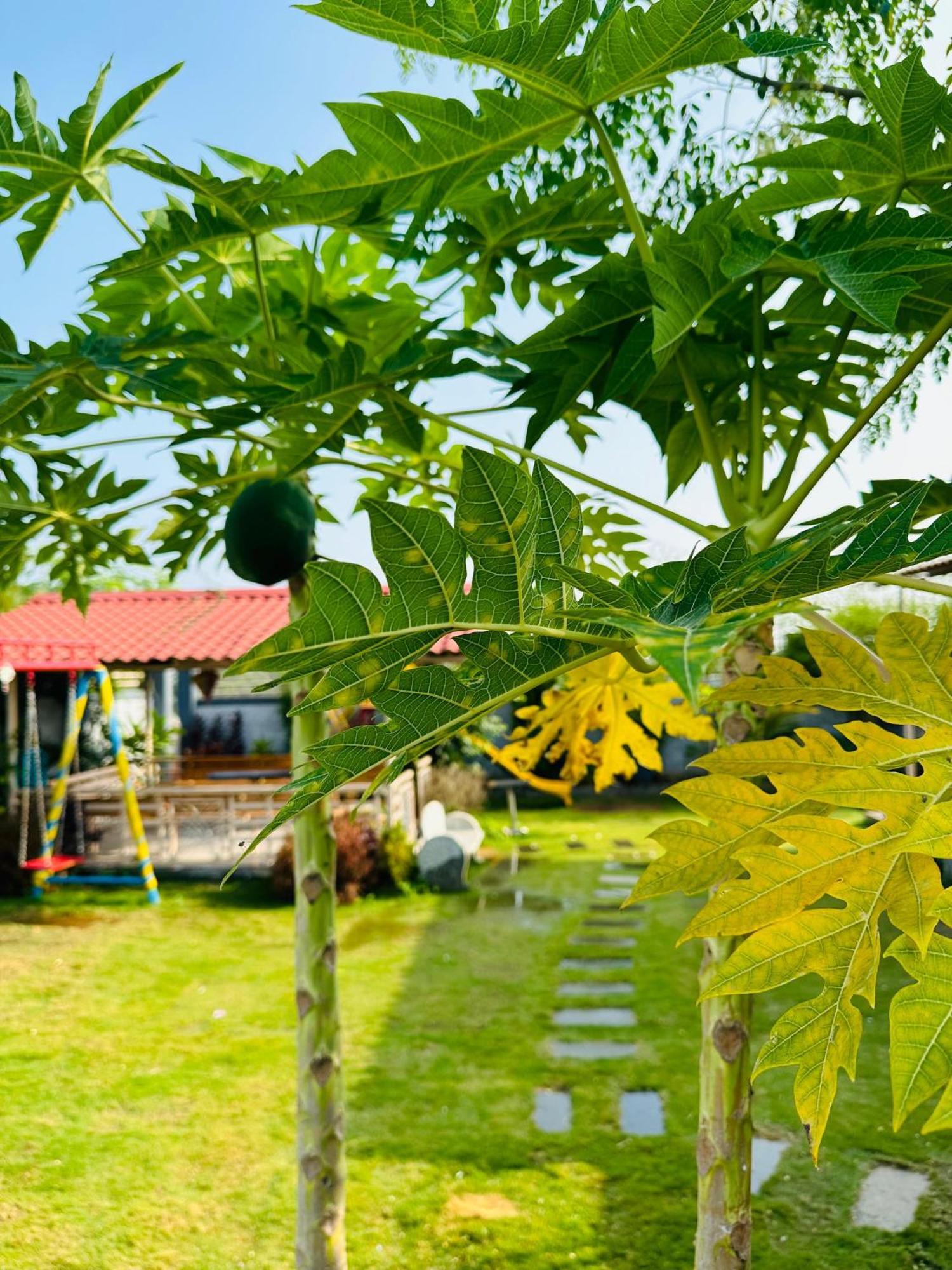 Pk Sahara Farm Stay Mysore Buitenkant foto